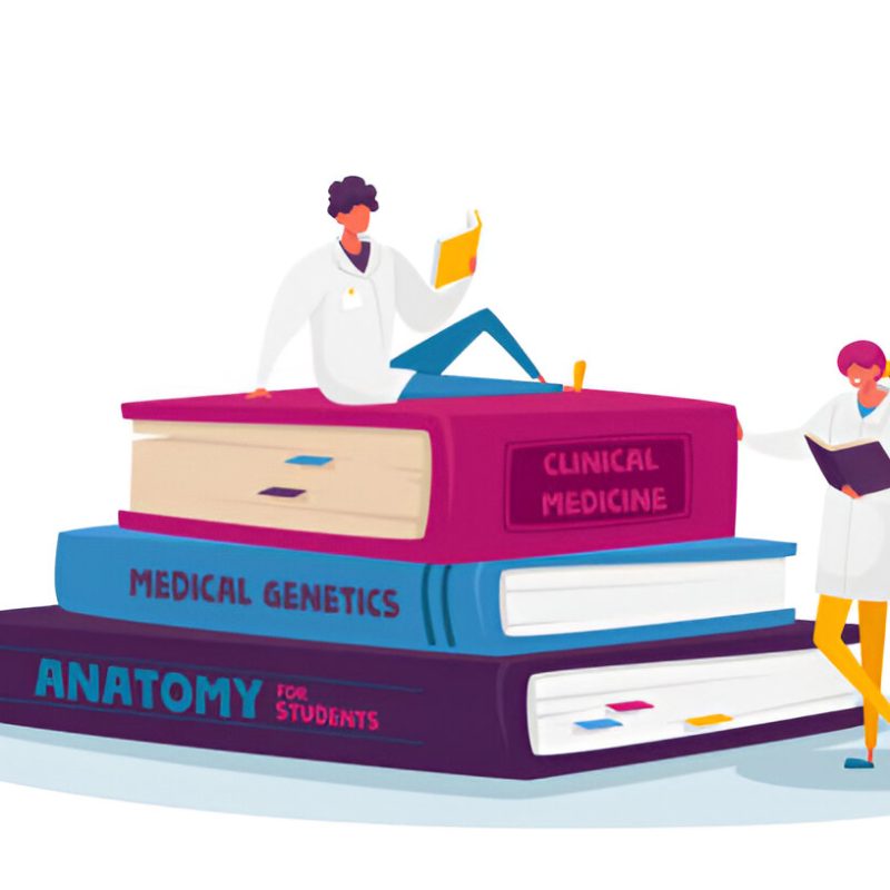 steptodown.com447538